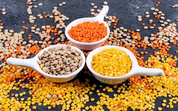 LENTILS